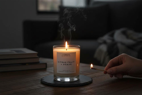 Citrus Fruit + Agave Candle • 10 oz Hand Poured Coconut Soy Wax